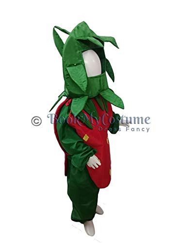 Buy BookMyCostume Strawberry Fruit Kids Fancy Dress Costume 4-5 years  Online at Lowest Price Ever in India | Check Reviews & Ratings - Shop The  World