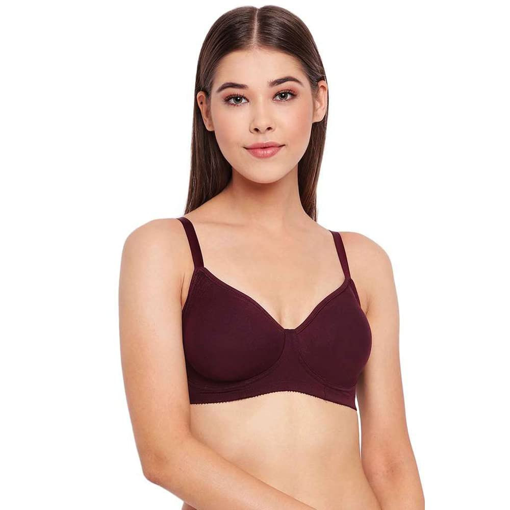 Buy Women's Wirefree Non Padded Super Combed Cotton Elastane Stretch Full  Coverage Everyday Bra with Concealed Shaper Panel and Broad Fabric Straps -  Classic Navy FE41