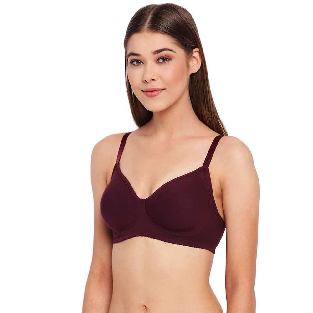 Buy Women's Wirefree Non Padded Super Combed Cotton Elastane Stretch Full  Coverage Everyday Bra with Concealed Shaper Panel and Broad Fabric Straps -  Steel Grey Melange Online at Best Prices in India 