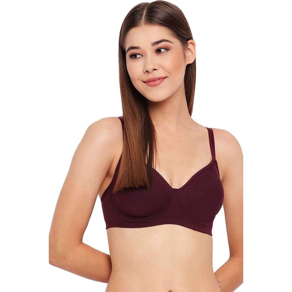 https://www.fastemi.com/uploads/fastemicom/products/jockey-fe41-womenamp039s-wirefree-non-padded-super-combed-cotton-elastane-stretch-full-coverage-everyday-bra-with-concealed-shaper-panel-and-broad-fabric-strapsskin36dsize--36d-607776040385463_l.jpg