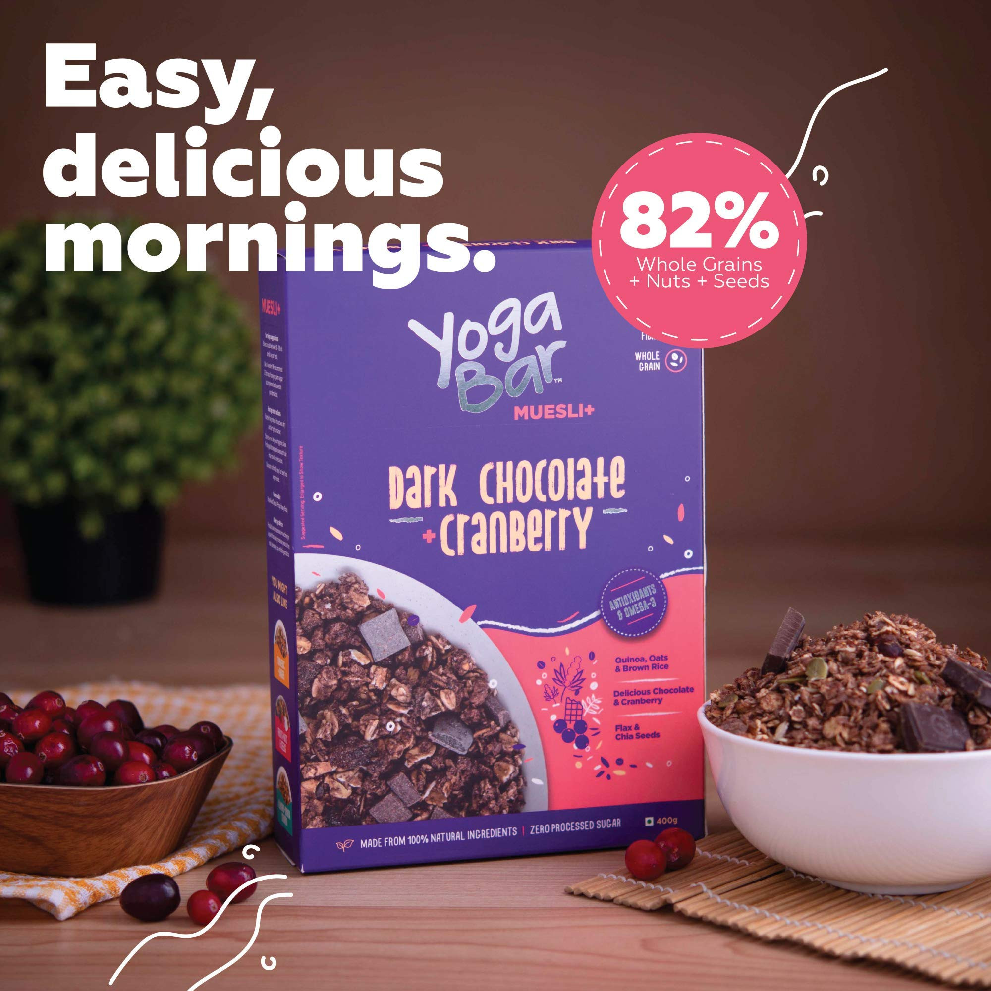 Buy Yogabar Muesli Combo of 2-Dark Chocolate & Cranberry - Fruits & Nuts